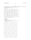 CELL-PERMEABLE ENDOSTATIN RECOMBINANT PROTEIN, A POLYNUCLEOTIDE ENCODING THE SAME, AND AN ANTI-CANCER PREPARATION CONTAINING THE SAME AS AN ACTIVE COMPONENT diagram and image