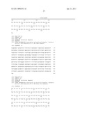 CELL-PERMEABLE ENDOSTATIN RECOMBINANT PROTEIN, A POLYNUCLEOTIDE ENCODING THE SAME, AND AN ANTI-CANCER PREPARATION CONTAINING THE SAME AS AN ACTIVE COMPONENT diagram and image