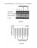 Methods of increasing cAMP levels and uses thereof diagram and image