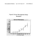 NEUROGENESIS BY MODULATING ANGIOTENSIN diagram and image