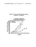 NEUROGENESIS BY MODULATING ANGIOTENSIN diagram and image