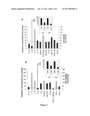 BIOMARKERS OF TUMOR PHARMACODYNAMIC RESPONSE diagram and image