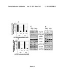 BIOMARKERS OF TUMOR PHARMACODYNAMIC RESPONSE diagram and image