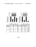 BIOMARKERS OF TUMOR PHARMACODYNAMIC RESPONSE diagram and image