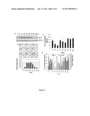 BIOMARKERS OF TUMOR PHARMACODYNAMIC RESPONSE diagram and image