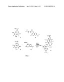 Ammosamides as Anticancer Agents diagram and image