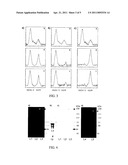 Ammosamides as Anticancer Agents diagram and image