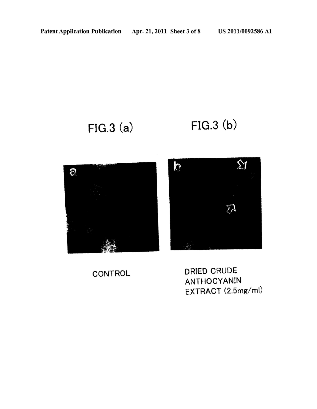 APOPTOSIS INDUCTOR EXTRACTED FROM POTATO, POTATO FOODSTUFF CONTAINING THE INDUCTOR, AND PROCESSED PRODUCT THEREOF - diagram, schematic, and image 04