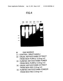 APOPTOSIS INDUCTOR EXTRACTED FROM POTATO, POTATO FOODSTUFF CONTAINING THE INDUCTOR, AND PROCESSED PRODUCT THEREOF diagram and image