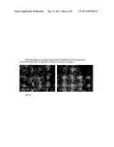 Driectly Compressible High Functionality Granular Microcrystalline Cellulose Based Excipient, Manufacturing Process and Use Thereof diagram and image