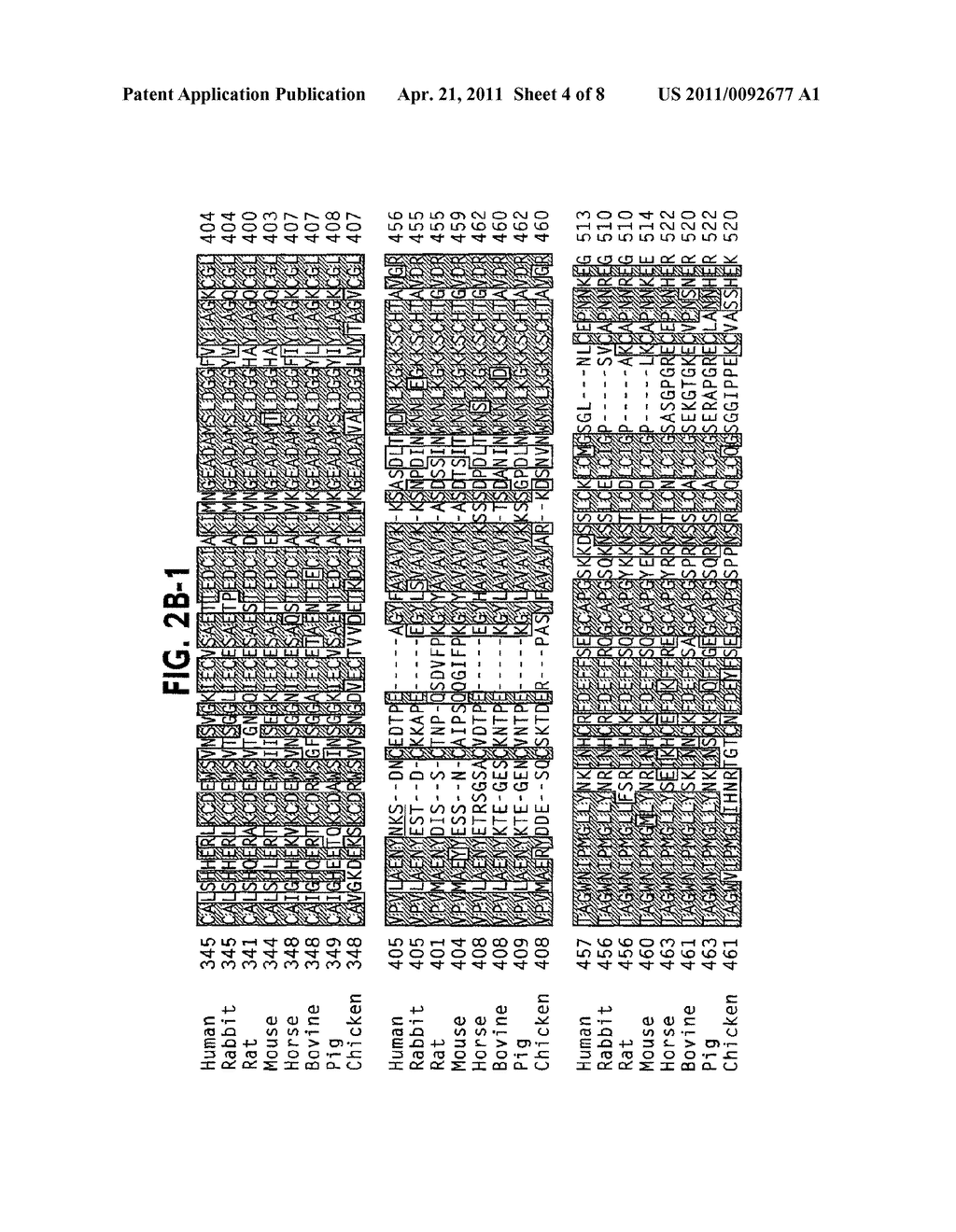 MODIFIED TRANSFERIN-ANTIBODY FUSION PROTEINS - diagram, schematic, and image 05