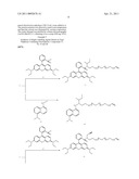 SINGLE-LABELLING AGENTS BASED ON VINYL SULPHONE diagram and image