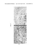 Crystalline Pharmaceutical and Methods of Preparation and Use Thereof diagram and image