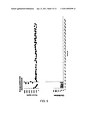 IMMUNOISOLATION PATCH SYSTEM FOR CELLULAR TRANSPLANTATION diagram and image