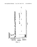 IMMUNOISOLATION PATCH SYSTEM FOR CELLULAR TRANSPLANTATION diagram and image