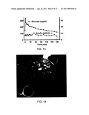 IMMUNOISOLATION PATCH SYSTEM FOR CELLULAR TRANSPLANTATION diagram and image