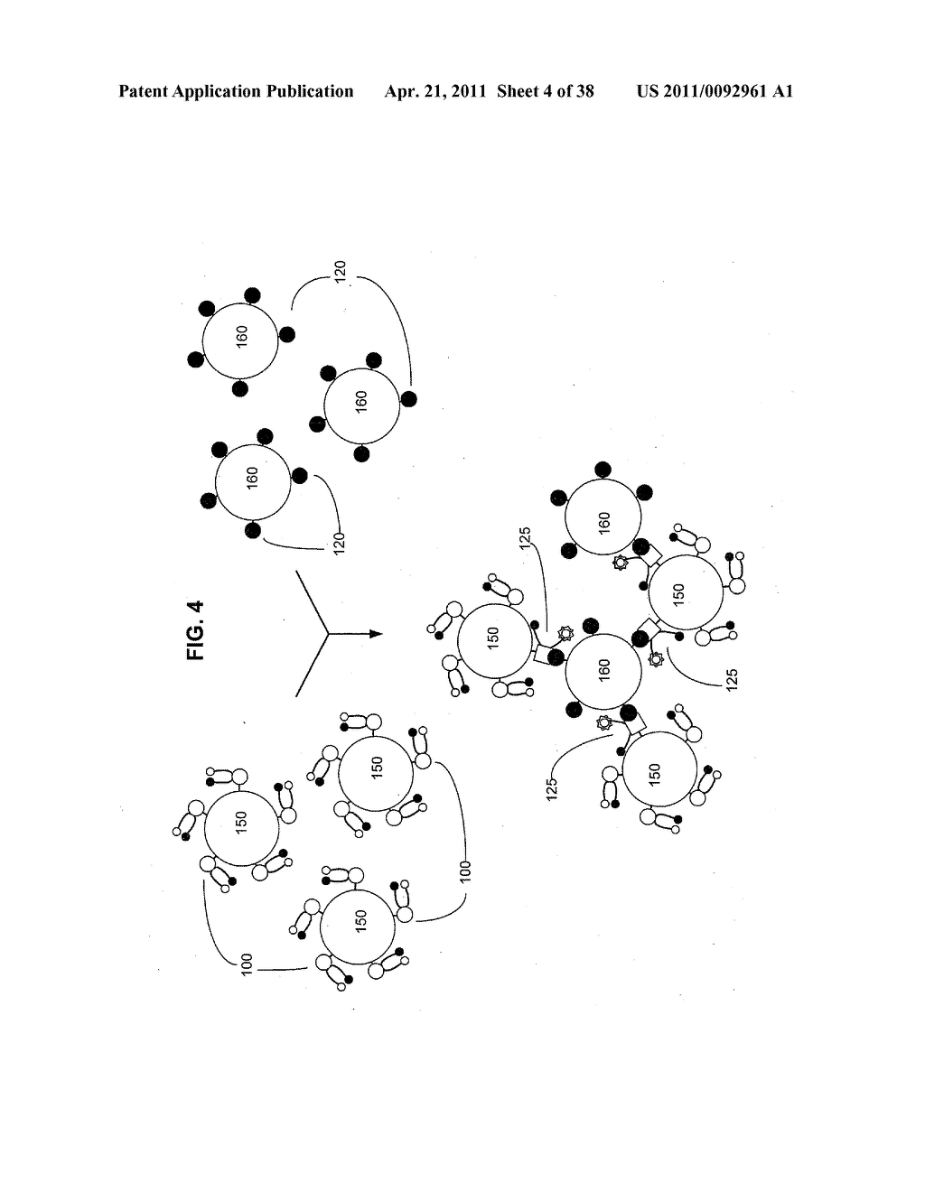 Artificial cells - diagram, schematic, and image 05