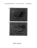 ULTRASHORT PULSE LASER APPLICATIONS diagram and image