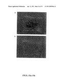 ULTRASHORT PULSE LASER APPLICATIONS diagram and image