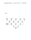 METHODS AND SYSTEMS FOR SIMULTANEOUS ALLELIC CONTRAST AND COPY NUMBER ASSOCIATION IN GENOME-WIDE ASSOCIATION STUDIES diagram and image