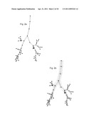 METHOD FOR MULTI-SCALE MESHING OF BRANCHING BIOLOGICAL STRUCTURES diagram and image