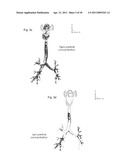 METHOD FOR MULTI-SCALE MESHING OF BRANCHING BIOLOGICAL STRUCTURES diagram and image