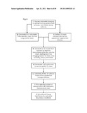 METHOD FOR MULTI-SCALE MESHING OF BRANCHING BIOLOGICAL STRUCTURES diagram and image