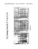 PHOSPHOLIPASES, NUCLEIC ACIDS ENCODING THEM AND METHODS FOR MAKING AND USING THEM diagram and image