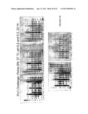 PHOSPHOLIPASES, NUCLEIC ACIDS ENCODING THEM AND METHODS FOR MAKING AND USING THEM diagram and image