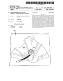 Application of Bolo Ties to Personal and Decorative Articles diagram and image