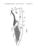 Security footwear diagram and image