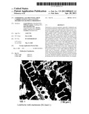 LEDEBURITE CAST IRON WITH A HIGH CARBIDE CONTENT AND AN EVENLY DISTRIBUTED GRAPHITE EMBODIMENT diagram and image