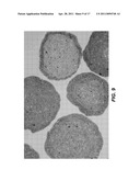 METHOD OF TREATING SUBTERRANEAN FORMATIONS WITH POROUS CERAMIC PARTICULATE MATERIALS diagram and image