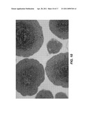 METHOD OF TREATING SUBTERRANEAN FORMATIONS WITH POROUS CERAMIC PARTICULATE MATERIALS diagram and image