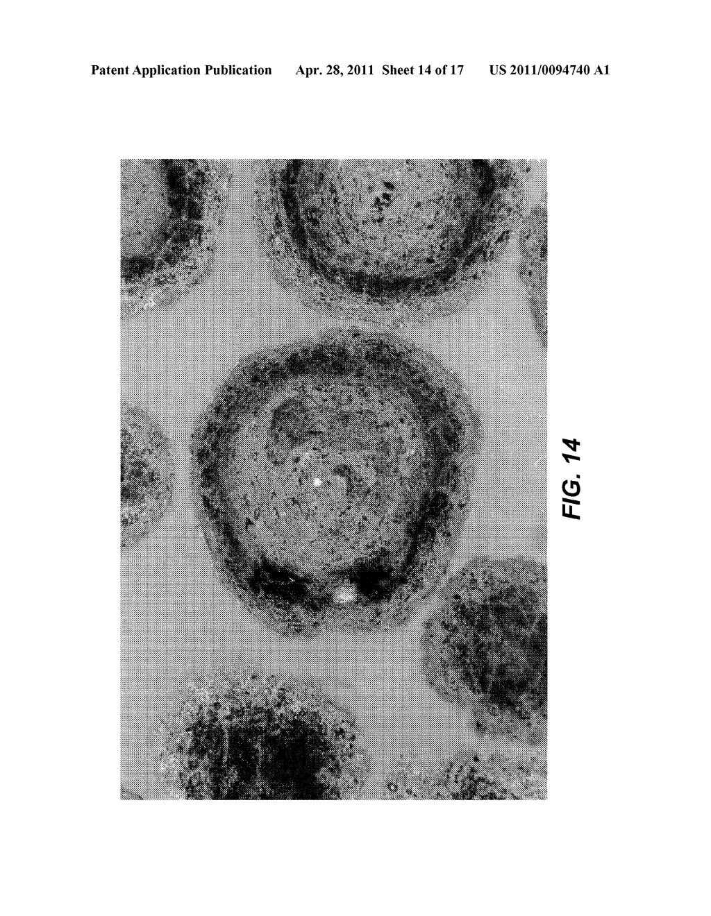 METHOD OF TREATING SUBTERRANEAN FORMATIONS WITH POROUS CERAMIC PARTICULATE MATERIALS - diagram, schematic, and image 15