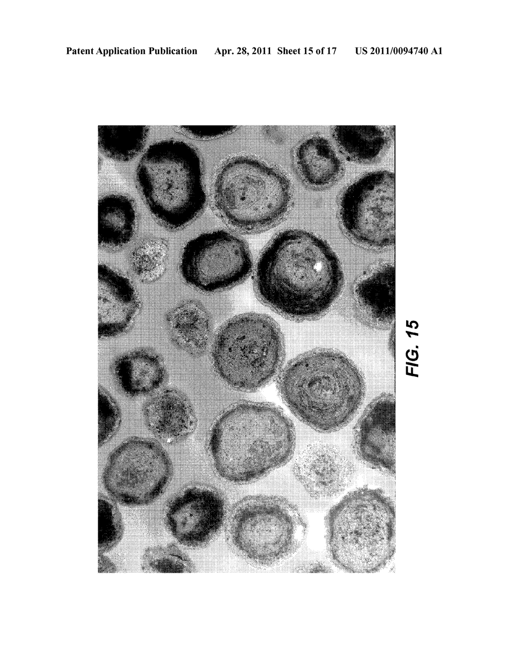 METHOD OF TREATING SUBTERRANEAN FORMATIONS WITH POROUS CERAMIC PARTICULATE MATERIALS - diagram, schematic, and image 16