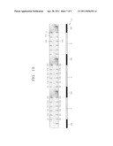 Active lenses, stereoscopic image display apparatuses including active lenses and methods of operating the same diagram and image