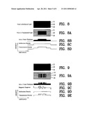 Security system for printed material diagram and image