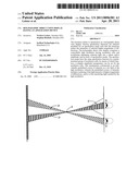 HOLOGRAPHIC DIRECT VIEW DISPLAY HAVING AN APOLIZATION DEVICE diagram and image