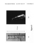 Acoustic imaging of objects in optically opaque fluids diagram and image