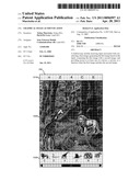 GRAPHICAL IMAGE AUTHENTICATION diagram and image