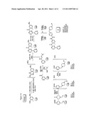 RADIOHALOIMATINIBS AND METHODS OF THEIR SYNTHESIS AND USE IN PET IMAGING OF CANCERS diagram and image