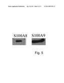 Pharmaceutical Agent for Promoting the Functional Regeneration of Damaged Tissue diagram and image