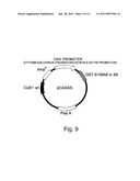 Pharmaceutical Agent for Promoting the Functional Regeneration of Damaged Tissue diagram and image