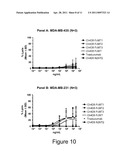 Her2/neu-Specific Antibodies and Methods of Using Same diagram and image