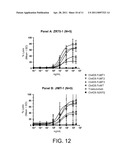 Her2/neu-Specific Antibodies and Methods of Using Same diagram and image