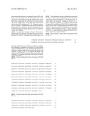 Her2/neu-Specific Antibodies and Methods of Using Same diagram and image