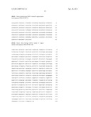 Her2/neu-Specific Antibodies and Methods of Using Same diagram and image