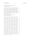 Her2/neu-Specific Antibodies and Methods of Using Same diagram and image