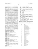 Her2/neu-Specific Antibodies and Methods of Using Same diagram and image